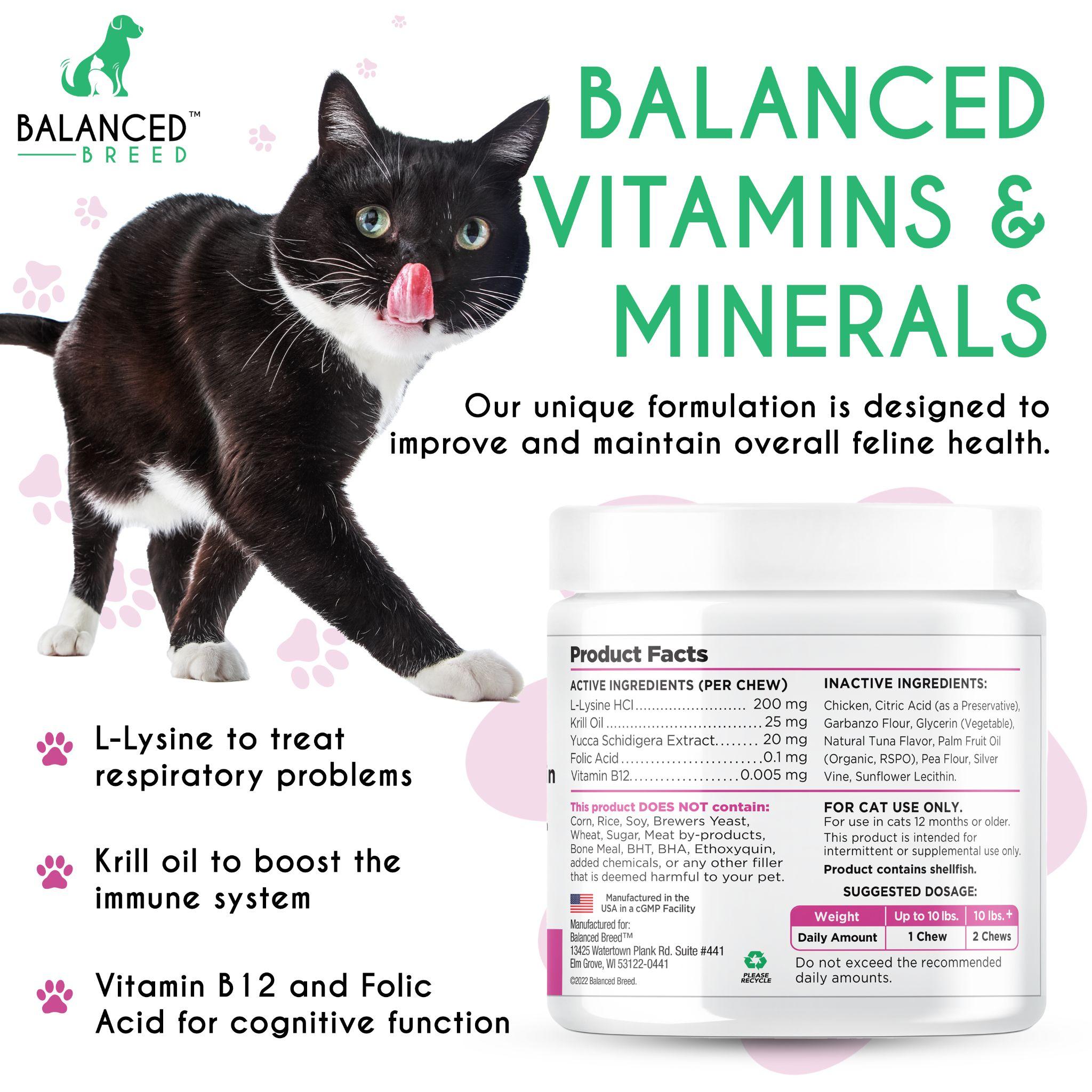 What are the Essential Cat Vitamins and What Makes them so Effective ...